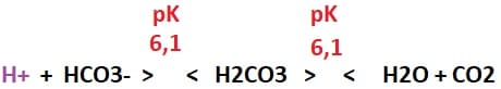pK sistema tampone bicarbonato