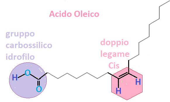 Acidi grassi insaturi oleico cis