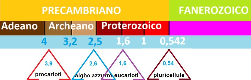 evoluzione antica