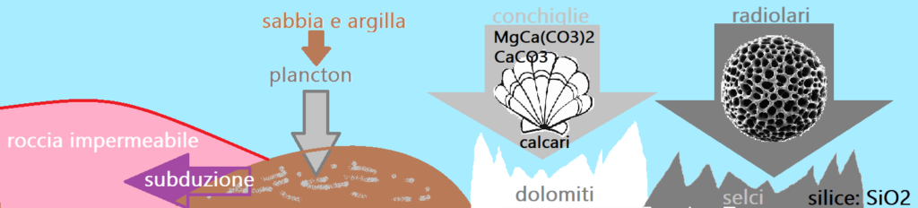 Roccia Sedimentaria Organica