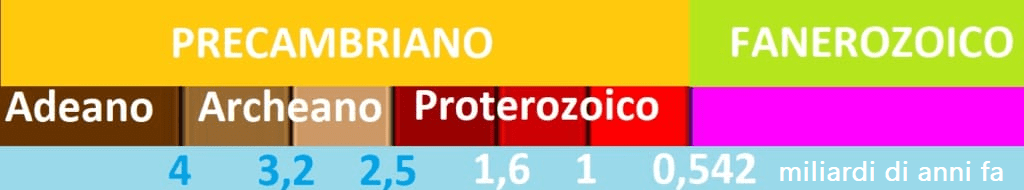 Evoluzione